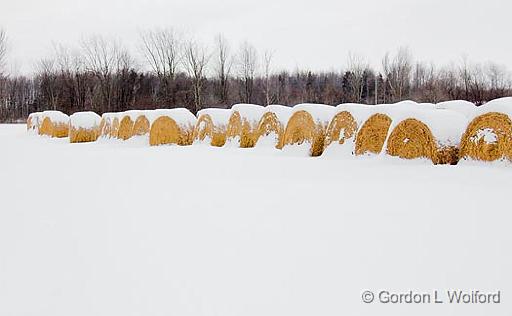Snow-Covered Bales_12547.jpg - Photographed near Ottawa, Ontario - the capital of Canada.